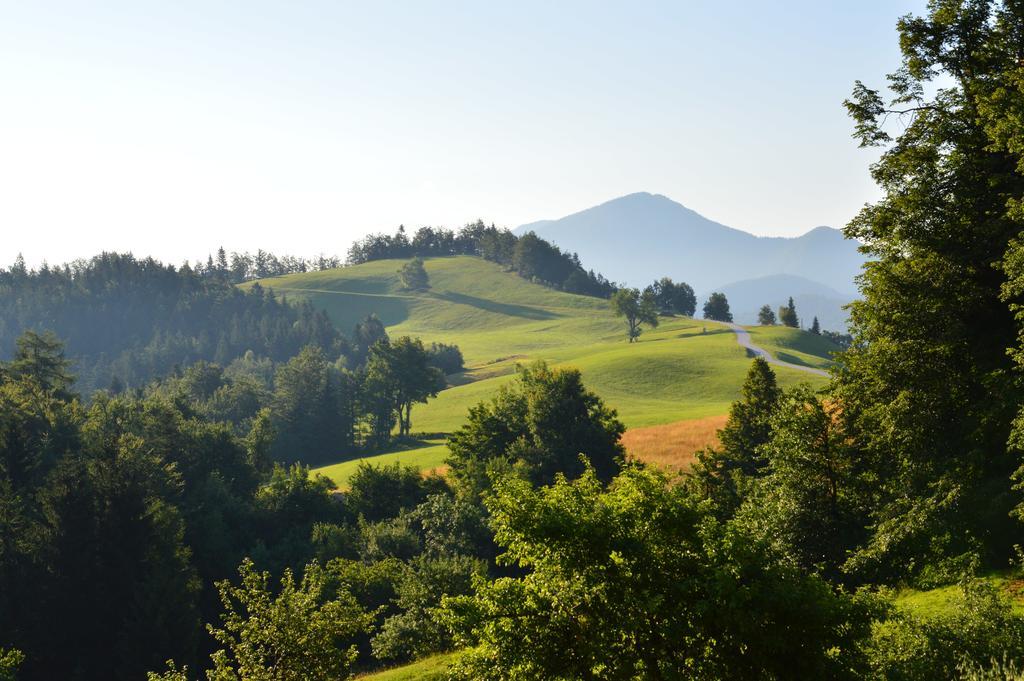 Apartmens And Rooms Sostar Cerkno Kültér fotó