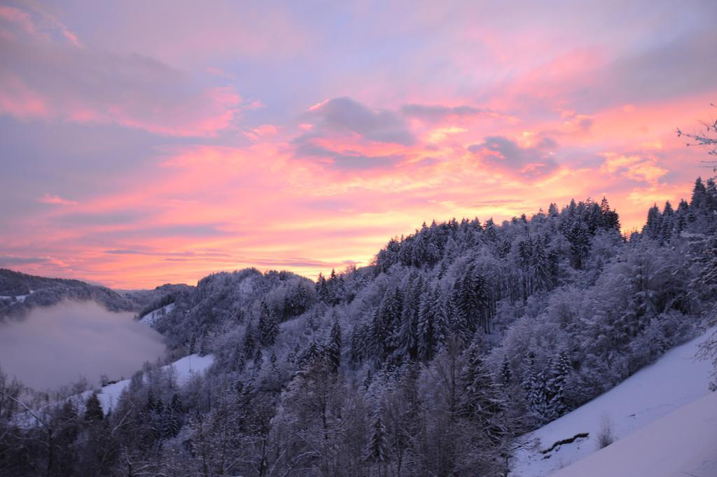 Apartmens And Rooms Sostar Cerkno Kültér fotó