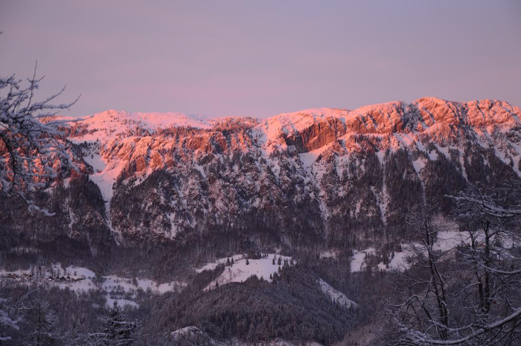 Apartmens And Rooms Sostar Cerkno Kültér fotó