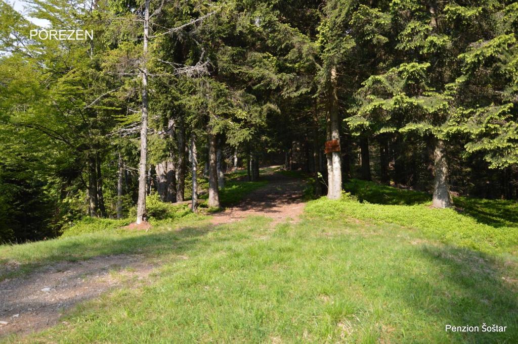 Apartmens And Rooms Sostar Cerkno Kültér fotó