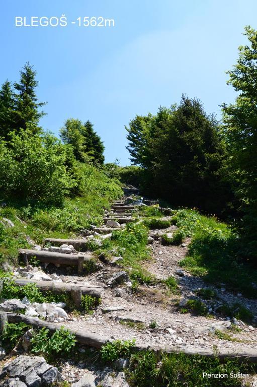 Apartmens And Rooms Sostar Cerkno Kültér fotó
