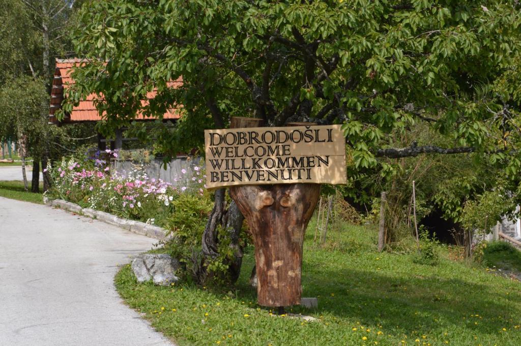 Apartmens And Rooms Sostar Cerkno Kültér fotó